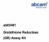 НАБОР ДЛЯ АНАЛИЗА ГЛУТАТИОНРЕДУКТАЗЫ (GR), 200 ТЕСТОВ, АРТ. AB83461, ABCAM