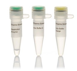 ЭНДОНУКЛЕАЗА РЕСТРИКЦИИ NLAIII, РЕКОМБИНАНТНАЯ (10 000 Е.А./МЛ, 2 500 Е.А.), АРТ. R0125 L, NEW ENGLAND BIOLABS
