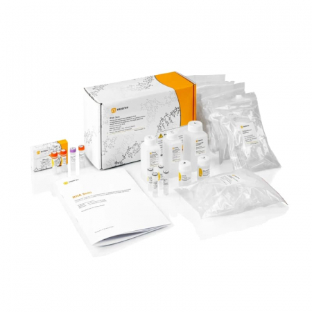 НАБОР ДЛЯ ВЫДЕЛЕНИЯ И КОНЦЕНТРАЦИИ РНК (ДО 50 МКГ), 100 РЕАКЦИЙ, АРТ. T2040 L, NEW ENGLAND BIOLABS