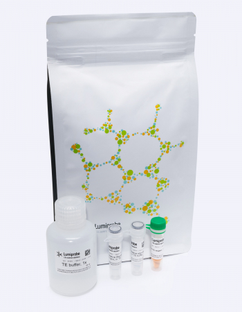 НАБОР QUDYE ДЛЯ ОПРЕДЕЛЕНИЯ КОЛИЧЕСТВА ОДНОЦЕПОЧЕЧНОЙ ДНК, 100 ASSAYS, 18102