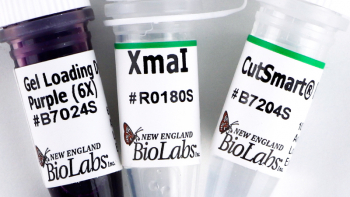 ДНК МОДИФИЦИРУЮЩИЙ ФЕРМЕНТ ЭНДОНУКЛЕАЗА РЕСТРИКЦИИ XMAI, РЕКОМБИНАНТНАЯ (10 000 Е.А./МЛ, 500 Е.А.), АРТ. R0180 S, NEW ENGLAND BIOLABS