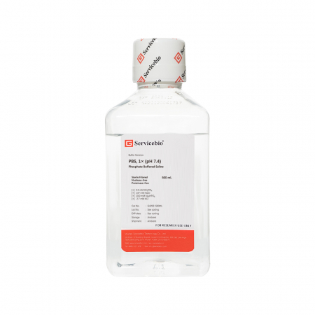 ФОСФАТНО-СОЛЕВОЙ БУФЕРНЫЙ РАСТВОР PBS, 500 МЛ, SERVICEBIO