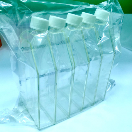 ФЛАКОНЫ КУЛЬТУРАЛЬНЫЕ 175 СМ2, ВЕНТ. КРЫШКА, БЕЗ ОБРАБОТКИ (5 ШТ/УПАК), АРТ. 74175, SPL LIFESCIENCES