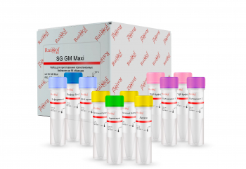 НАБОР ДЛЯ ПРИГОТОВЛЕНИЯ ПОЛНОГЕНОМНЫХ БИБЛИОТЕК РАЗМЕРОМ БОЛЕЕ 300 П.Н. С МАГНИТНЫМИ ЧАСТИЦАМИ SG GM MAXI PLUS, 192 РЕАКЦИИ