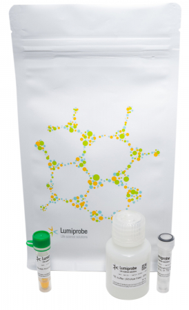 НАБОР RIBO488 ДЛЯ ОПРЕДЕЛЕНИЯ КОЛИЧЕСТВА РНК НА ПЛАНШЕТНЫХ РИДЕРАХ, 200 ASSAYS, 11520