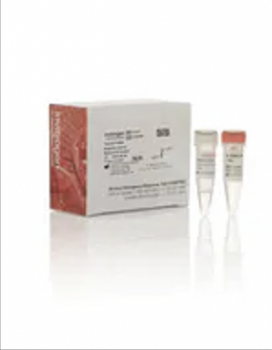 ПОЛОЖИТЕЛЬНЫЙ КОНТРОЛЬ SILENCER™ FIREFLY LUCIFERASE (GL2 + GL3) МИРНК, 5 НМОЛЬ, АРТ. AM4629, INVITROGEN