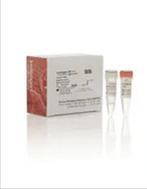 ПОЛОЖИТЕЛЬНЫЙ КОНТРОЛЬ SILENCER™ FIREFLY LUCIFERASE (GL2 + GL3) МИРНК, 5 НМОЛЬ, АРТ. AM4629, INVITROGEN