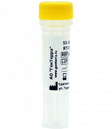 GENTA-TNP ТРАНСПОЗАЗА (100 МКЛ)