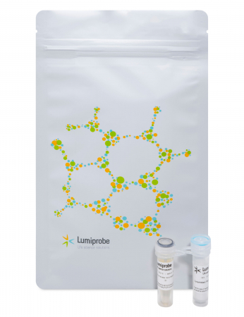 33162, НАБОР ДЛЯ ПЦР С EVA488 ЛИОФИЛИЗИРОВАННЫЙ, 100 RXN