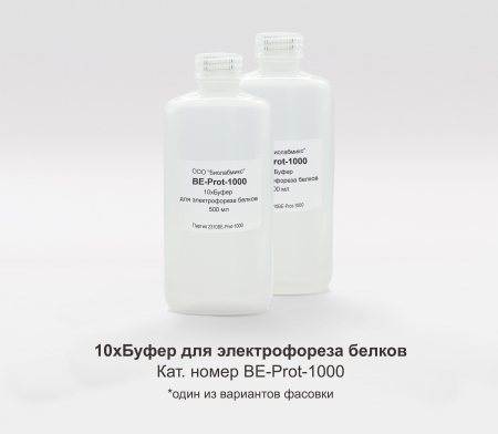 10Х БУФЕР ДЛЯ ЭЛЕКТРОФОРЕЗА БЕЛКОВ, 1000 МЛ