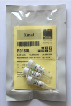 ДНК МОДИФИЦИРУЮЩИЙ ФЕРМЕНТ ЭНДОНУКЛЕАЗА РЕСТРИКЦИИ XMAI, РЕКОМБИНАНТНАЯ (10 000 Е.А./МЛ, 2 500 Е.А.), АРТ. R0180 L, NEW ENGLAND BIOLABS