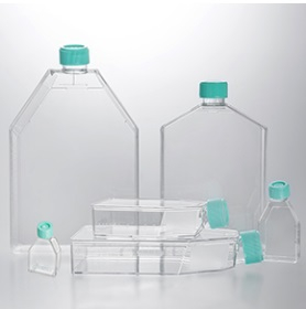 МАТРАСЫ ПЛАСТИКОВЫЕ ДЛЯ КУЛЬТИВИРОВАНИЯ КЛЕТОК (ФЛАКОНЫ), Т-300, ДЛЯ СУСПЕНЗИОННЫХ КУЛЬТУР, КРЫШКА С ФИЛЬТРОМ, 18 ШТ./УПАК, JETBIOFIL