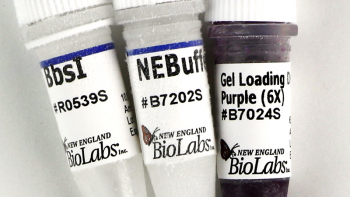 ЭНДОНУКЛЕАЗА РЕСТРИКЦИИ BBSI (10 000 Е.А./МЛ, 1 500 Е.А.), АРТ. R0539 L, NEW ENGLAND BIOLABS