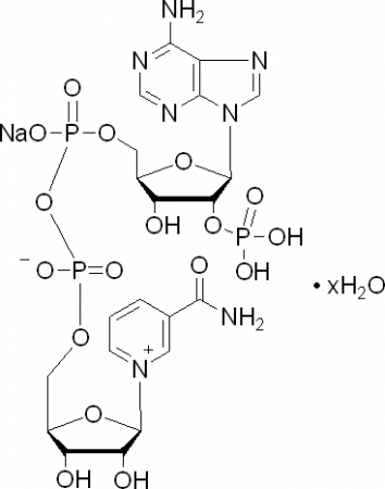 N814673-1 Г ?-НИКОТИНАМИДАДЕНИНДИНУКЛЕОТИДА НАТРИЯ ФОСФАТА, 97 Г%