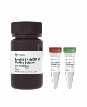 EQUALBIT DSDNA HS НАБОР ДЛЯ ИЗМЕРЕНИЯ КОНЦЕНТРАЦИИ ДЦДНК (QUBIT), 500 РЕАКЦИЙ, АРТ. EQ111-02, VAZYME BIOTECH CO., LTD