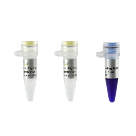 ЭНДОНУКЛЕАЗА РЕСТРИКЦИИ BFAI (10 000 Е.А./МЛ, 500 Е.А.), АРТ. R0568 S, NEW ENGLAND BIOLABS