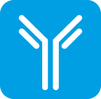 МОНОКЛОНАЛЬНЫЕ АНТИТЕЛА К СЕРДЕЧНОМУ ТРОПОНИНУ I (CTNI)