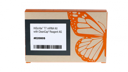 НАБОР HISCRIBE™ T7 ДЛЯ СИНТЕЗА РНК С РЕАГЕНТОМ CLEANCAP AG (20 РЕАКЦИЙ), АРТ. E2080 S, NEW ENGLAND BIOLABS