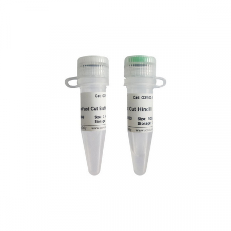 ЭНДОНУКЛЕАЗА РЕСТРИКЦИИ SWEFAST CUT HINDIII, 500 РЕАКЦИЙ