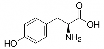 L-ТИРОЗИН (100Г) /L-TYROSINE