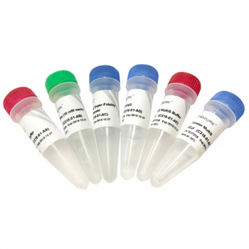 MUT EXPRESS MULTIS НАБОР ДЛЯ БЫСТРОГО САЙТ-НАПРАВЛЕННОГО МУТАГЕНЕЗА ДО 5 ПОЗИЦИЙ V2, 25 РЕАКЦИЙ, АРТ. C215-02, NANJING VAZYME BIOTECH CO