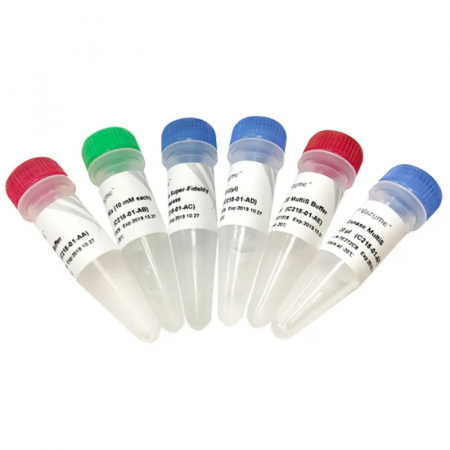 MUT EXPRESS MULTIS НАБОР ДЛЯ БЫСТРОГО САЙТ-НАПРАВЛЕННОГО МУТАГЕНЕЗА ДО 5 ПОЗИЦИЙ V2, 25 РЕАКЦИЙ, АРТ. C215-02, NANJING VAZYME BIOTECH CO