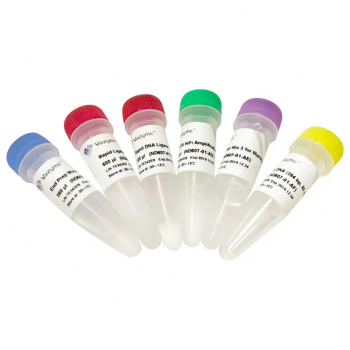 НАБОР MICROPLEX ДЛЯ ПОДГОТОВКИ БИБЛИОТЕК V3, 48 РЕАКЦИЙ, АРТ. C05010001, DIAGENODE