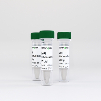 LORI МЫШИНЫЙ РЕКОМБИНАНТНЫЙ ИНГИБИТОР РНКАЗ, 50 Е.А./МКЛ (5 000 Е.А.)