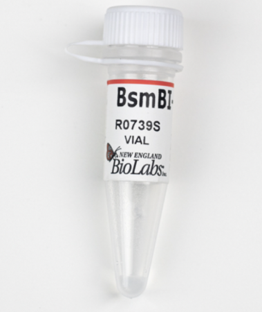 ЭНДОНУКЛЕАЗА РЕСТРИКЦИИ BSMBI-V2 (10 000 Е.А./МЛ, 200 Е.А.), АРТ. R0739 S, NEW ENGLAND BIOLABS