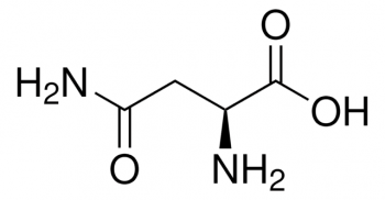 L-АСПАРАГИН (200Г) /L-ASPARAGINE