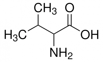 DL-ВАЛИН (25Г) /DL-VALINE