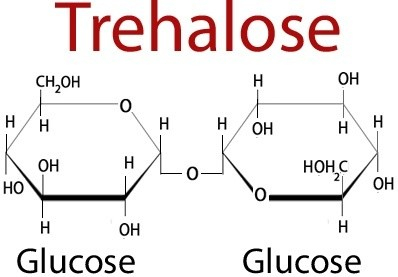 ТРЕГАЛОЗА ДИГИДРАТ, ?98%, 1 КГ, АРТ. H0001, YACOO