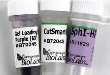 ДНК МОДИФИЦИРУЮЩИЙ ФЕРМЕНТ ЭНДОНУКЛЕАЗА РЕСТРИКЦИИ SPHI-HF™ (20 000 Е.А./МЛ, 2 500 Е.А.), АРТ. R3182 L, NEW ENGLAND BIOLABS