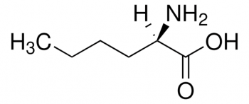 D-НОРЛЕЙЦИН (1Г) / D-NORLEUCINE