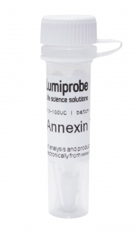 АННЕКСИН V, HIS TAG, 100 UG, 3213-100UG