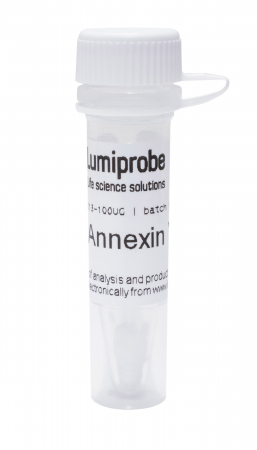 АННЕКСИН V, HIS TAG, 100 UG, 3213-100UG