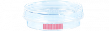 83.3900.002 КУЛЬТУРАЛЬНАЯ ЧАШКА, ДИАМЕТР 35 ММ, С СЕТКОЙ, ДЛЯ АДГЕЗИВНЫХ КЛЕТОК, TC TESTED, СТЕРИЛЬНАЯ, PS, РЕАЛИЗУЕТСЯ УПАКОВКАМИ (10 ШТ. В УПАКОВКЕ)