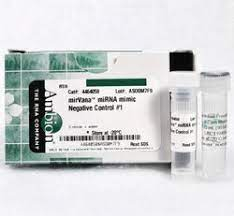 ИНГИБИТОР МИРНК MIRVANA®, 5 НМОЛЬ, АРТ. 4464084, THERMO FISHER SCIENTIFIC