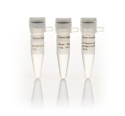 ДЕЗОКСИРИБОНУКЛЕАЗА I (НЕ СОДЕРЖИТ РНКАЗ), 1 Е.А./МКЛ, 1000 Е.А., АРТ. EN0521, THERMO FISHER SCIENTIFIC