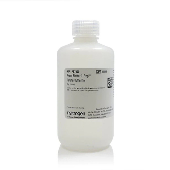БУФЕР ДЛЯ ПЕРЕНОСА БЕЛКОВ POWER BLOTTER 1-STEP™ (5X), 1 Л, АРТ. PB7300, THERMO FISHER SCIENTIFIC