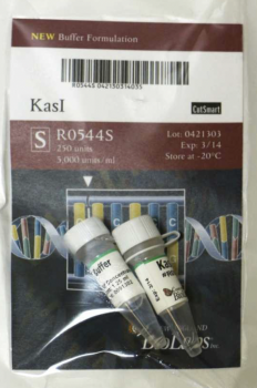 ДНК МОДИФИЦИРУЮЩИЙ ФЕРМЕНТ ЭНДОНУКЛЕАЗА РЕСТРИКЦИИ KASI, РЕКОМБИНАНТНАЯ (5 000 Е.А./МЛ, 1 250 Е.А.), АРТ. R0544 L, NEW ENGLAND BIOLABS