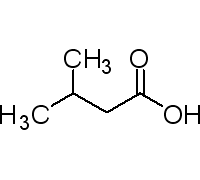I811830-5 МЛ ИЗОВАЛЕРИАНОВОЙ КИСЛОТЫ, СТАНДАРТ ДЛЯ ГХ, ? 99,0% (ГХ), 5 МЛ