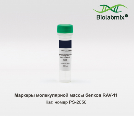 МАРКЕР МОЛЕКУЛЯРНОЙ МАССЫ БЕЛКОВ RAV-11, 500 МКЛ