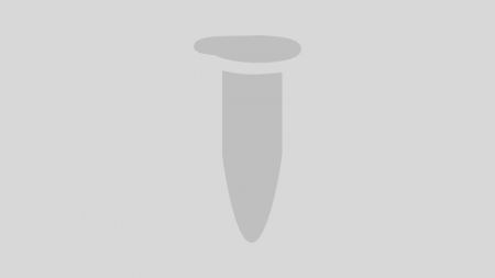 ДНК МОДИФИЦИРУЮЩИЙ ФЕРМЕНТ ЭНДОНУКЛЕАЗА РЕСТРИКЦИИ TTH111I, РЕКОМБИНАНТНАЯ (5 000 Е.А./МЛ, 400 Е.А.), АРТ. R0185 S, NEW ENGLAND BIOLABS