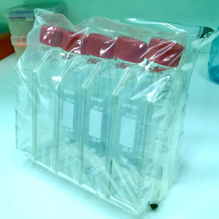 ФЛАКОНЫ КУЛЬТУРАЛЬНЫЕ 75 СМ2, CELLSTAR®, С КРЫШКОЙ ФИЛЬТРОМ (5 ШТ/УПАК), АРТ. 658175, GREINER BIO-ONE