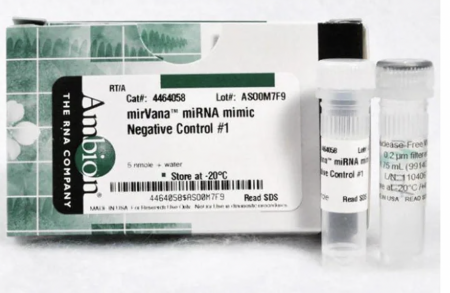 ОТРИЦАТЕЛЬНЫЙ КОНТРОЛЬ #1 MIRVANA™ MIRNA MIMIC, 5 НМОЛЬ, АРТ. 4464058, INVITROGEN