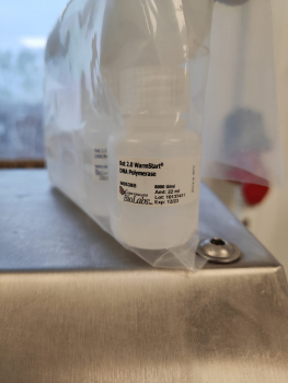 BST 2.0 WARMSTART® ДНК-ПОЛИМЕРАЗА 8000 E.A., ОБЪЕМ 22 МЛ