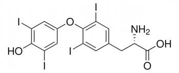 L-ТИРОКСИН (10Г) / L-THYROXINE