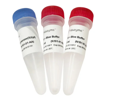 T4 ДНК-ПОЛИМЕРАЗА, 2 000 Е.А., АРТ. N101-01, VAZYME BIOTECH CO., LTD