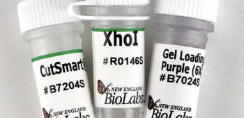 ДНК МОДИФИЦИРУЮЩИЙ ФЕРМЕНТ ЭНДОНУКЛЕАЗА РЕСТРИКЦИИ XHOI, РЕКОМБИНАНТНАЯ, ВЫСОКОЙ КОНЦЕНТРАЦИИ (100 000 Е.А./МЛ, 25 000 Е.А.), АРТ. R0146 M, NEW ENGLAND BIOLABS